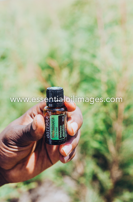 The dōTERRA Growing Collection