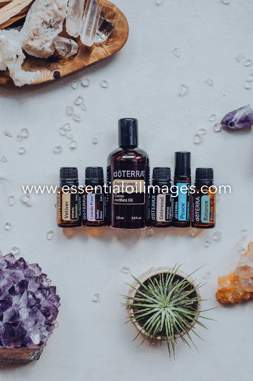 The Enlightenment Bedtime Bliss Wellness Box Collection