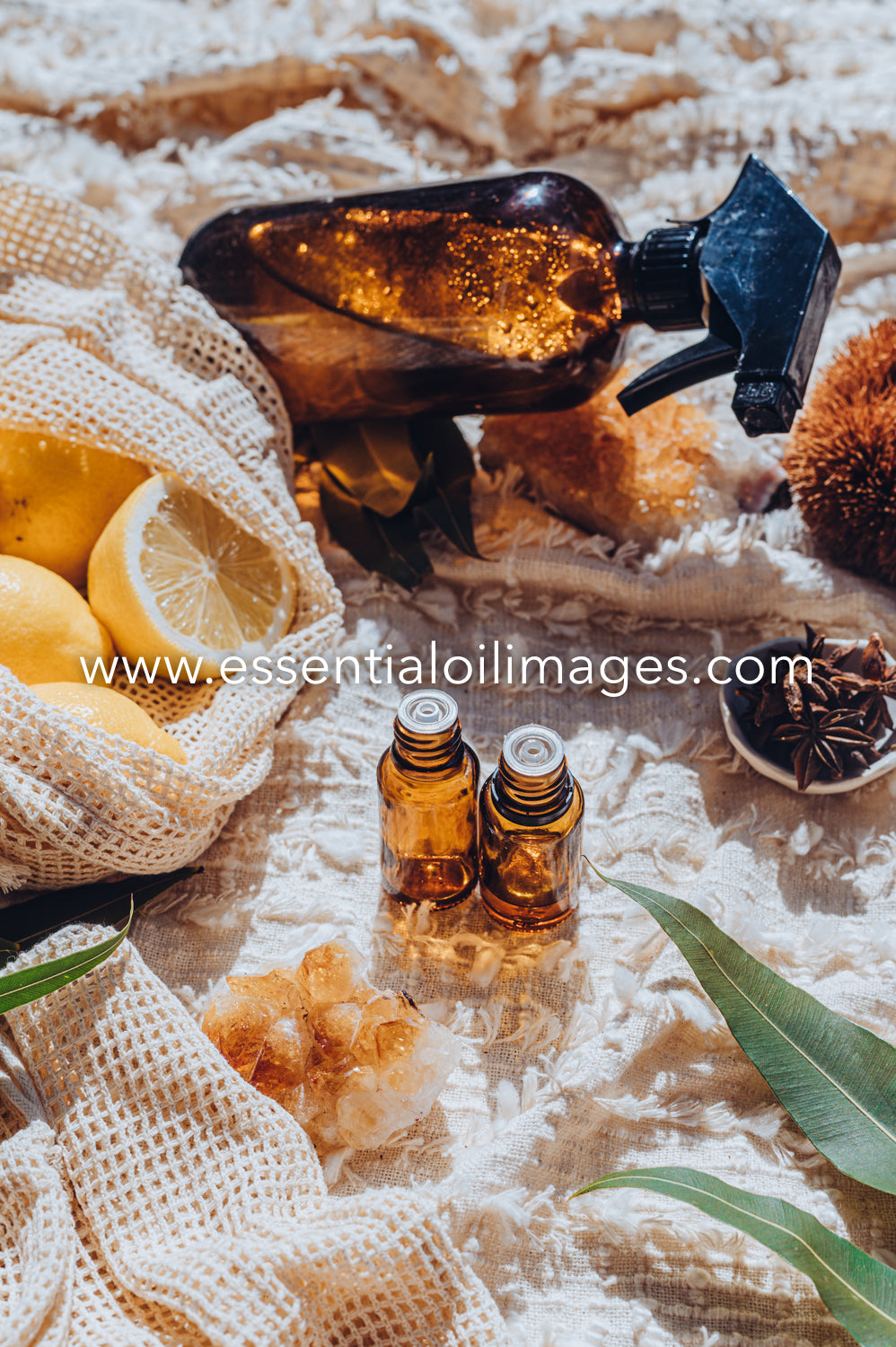 The Essential Oil Images Luxe Green Cleaning Images Collection